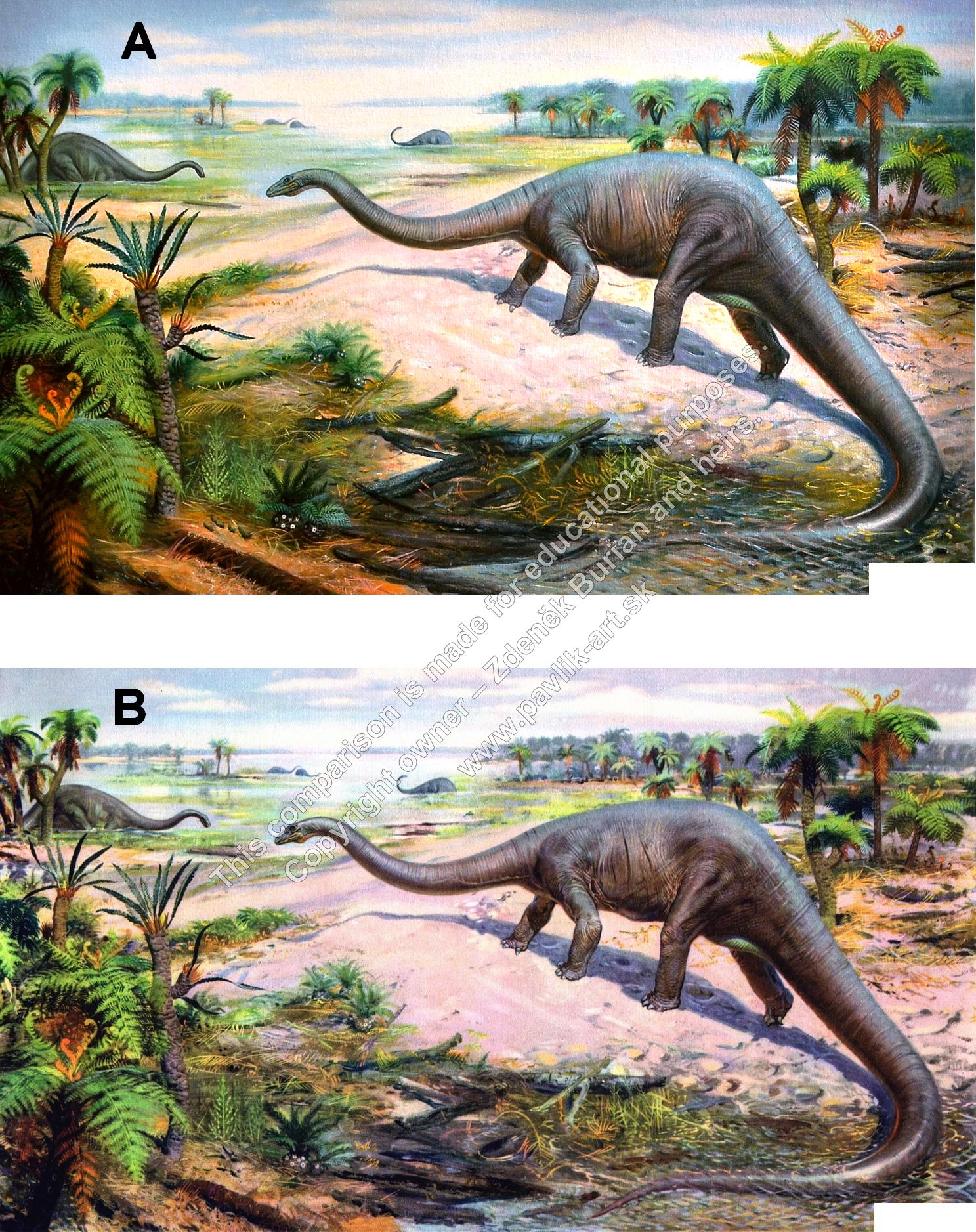 Diplodocus carnegii comparison Z. Burian - R. Pavlík