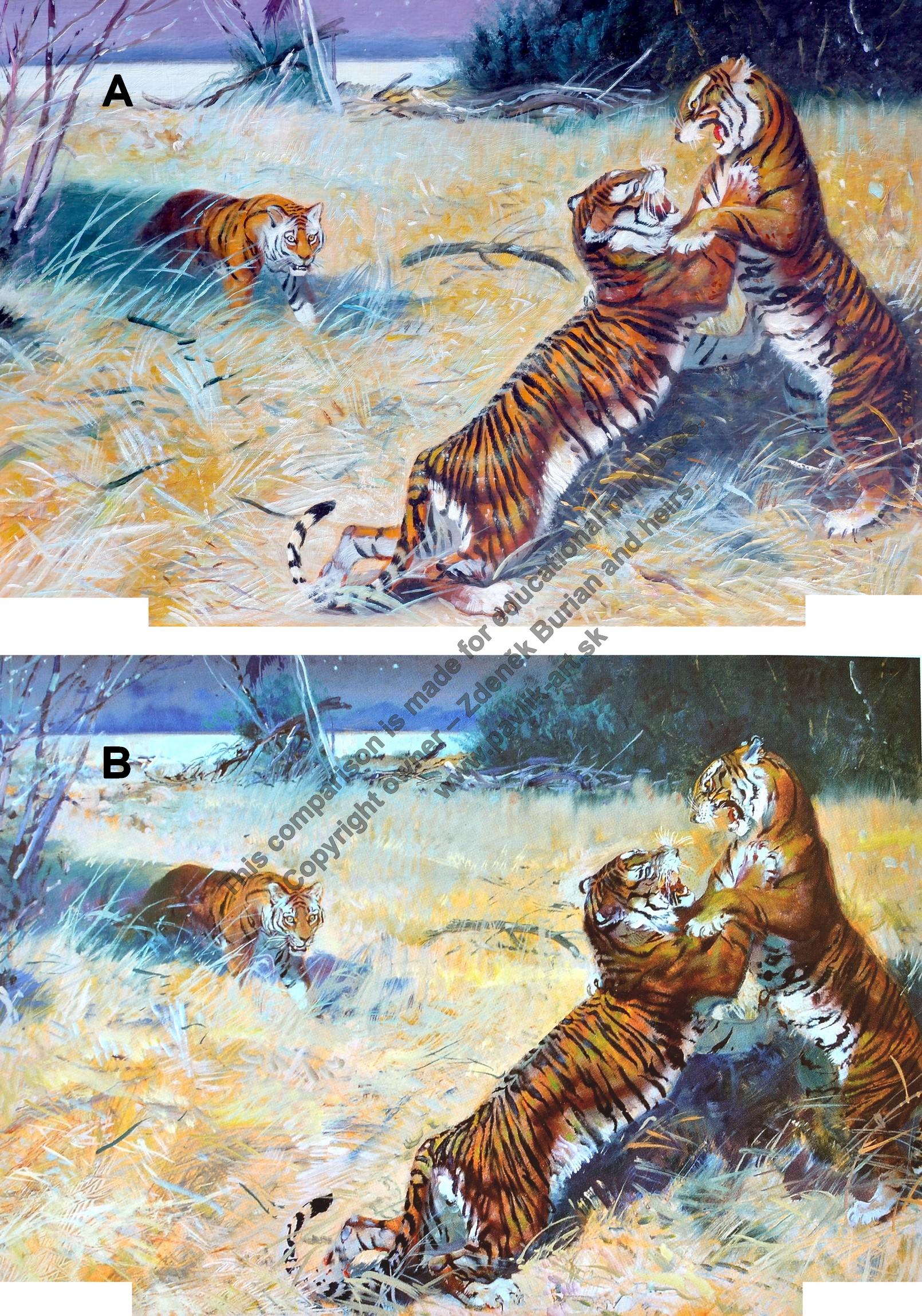 The Story of a Tiger comparison Z. Burian - R. Pavlík