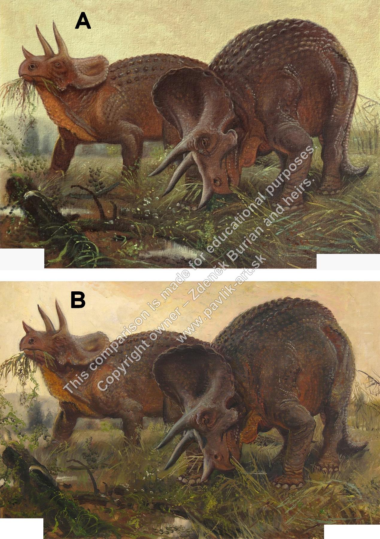 Triceratops prorsus comparison Z. Burian - R. Pavlík