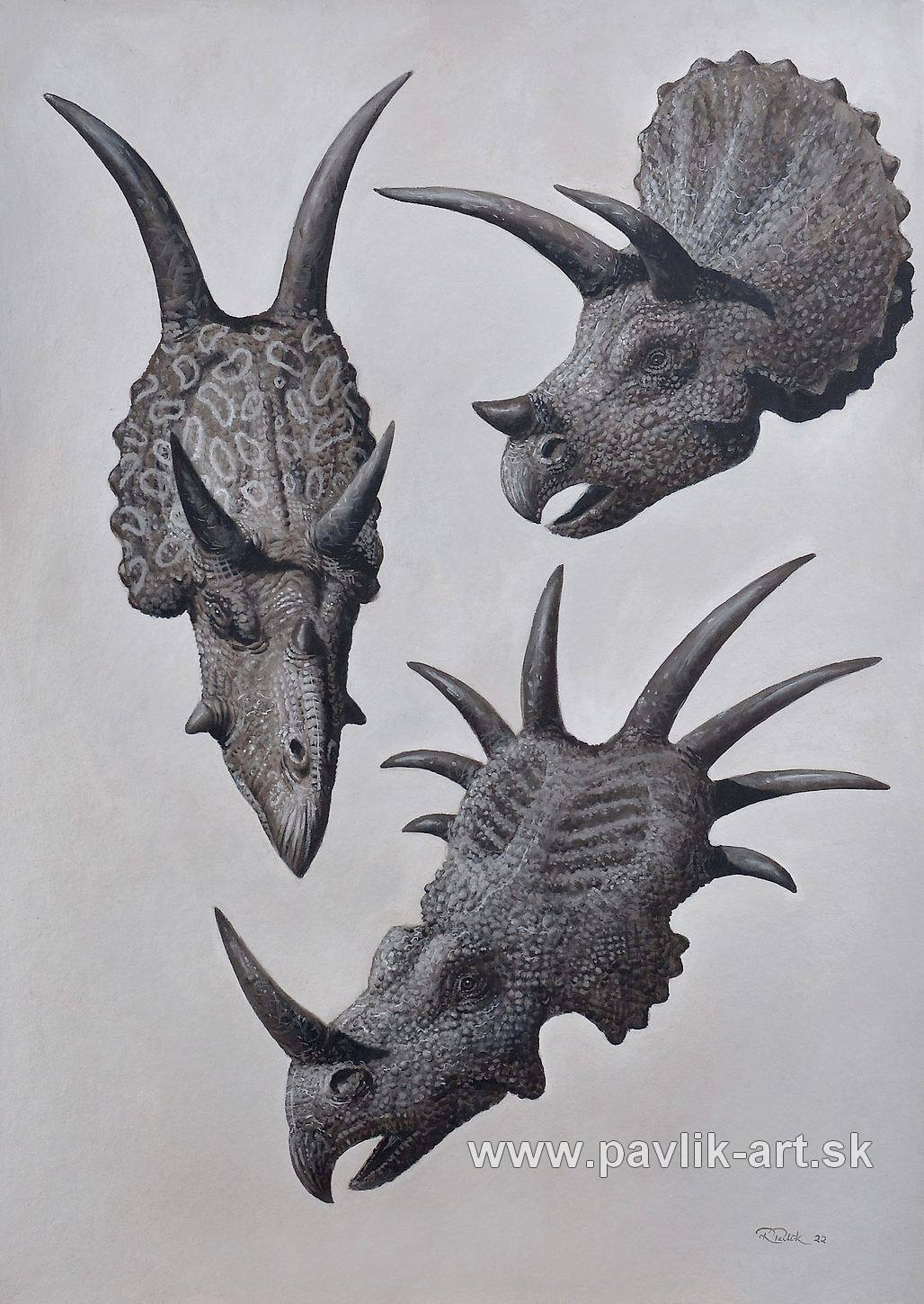 Diabloceratops, Triceratops, Styracosaurus painting, dinosaurs