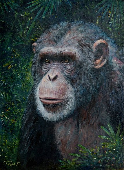 A chimp in the African jungle - oil painting