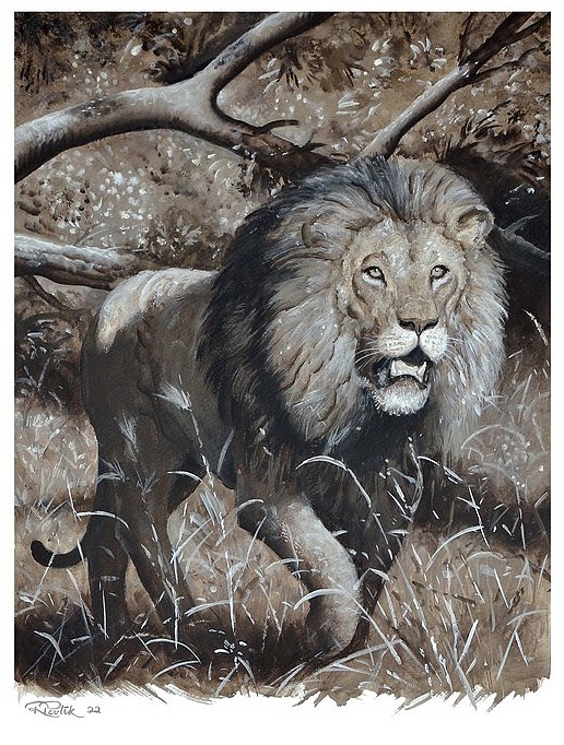 A lion on the prowl in the African jungle - gouache painting