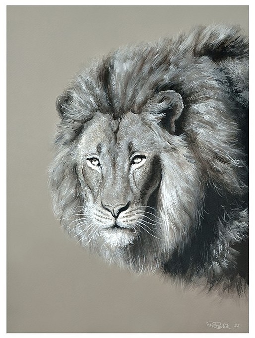 Head of a lion - gouache portrait