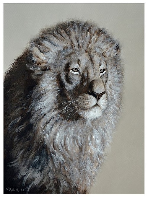Head of a lion - gouache painting