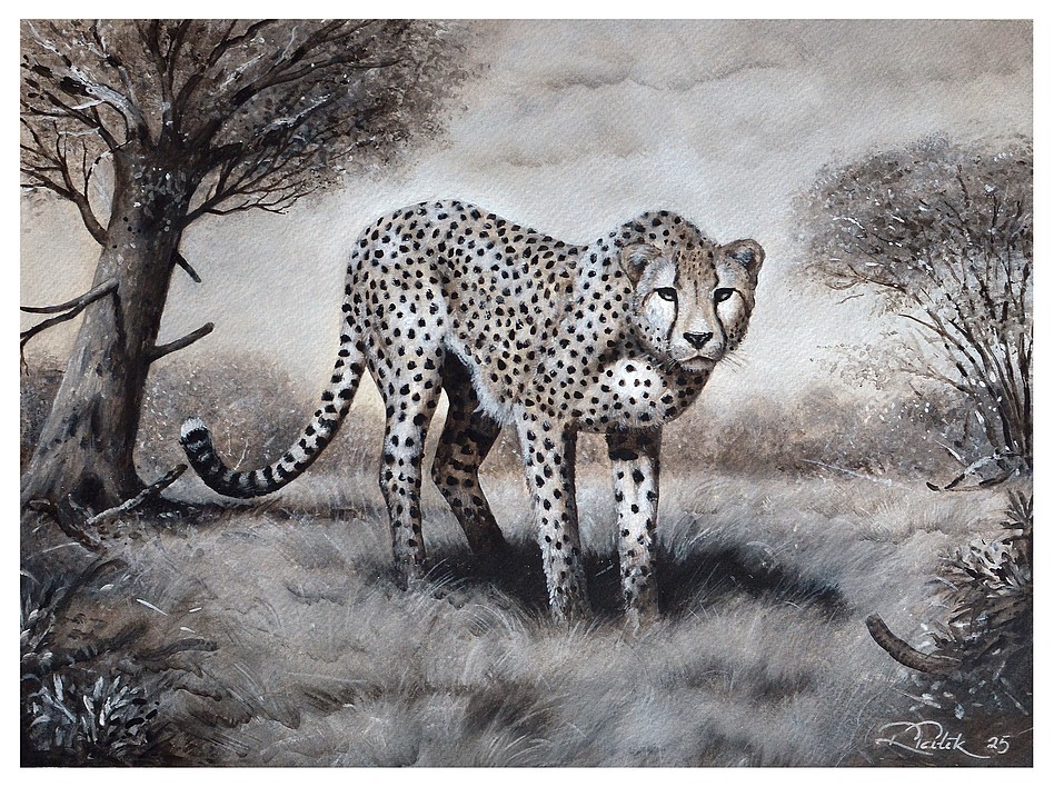 Cheetah on guard in the African savanna.