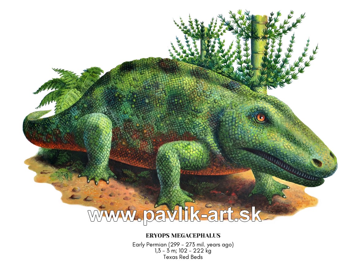 Tempera painting of Eryops Megacephalus